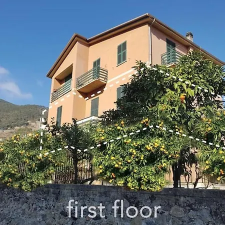 Apartment Mary Bridge In Near Beaches *